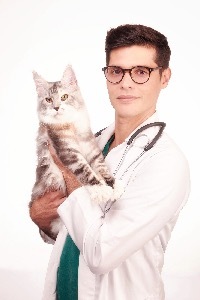TICA Judge